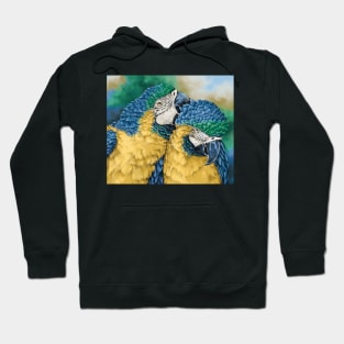 Parrots Hoodie